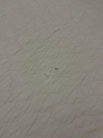 Bed sheets were torn and stained