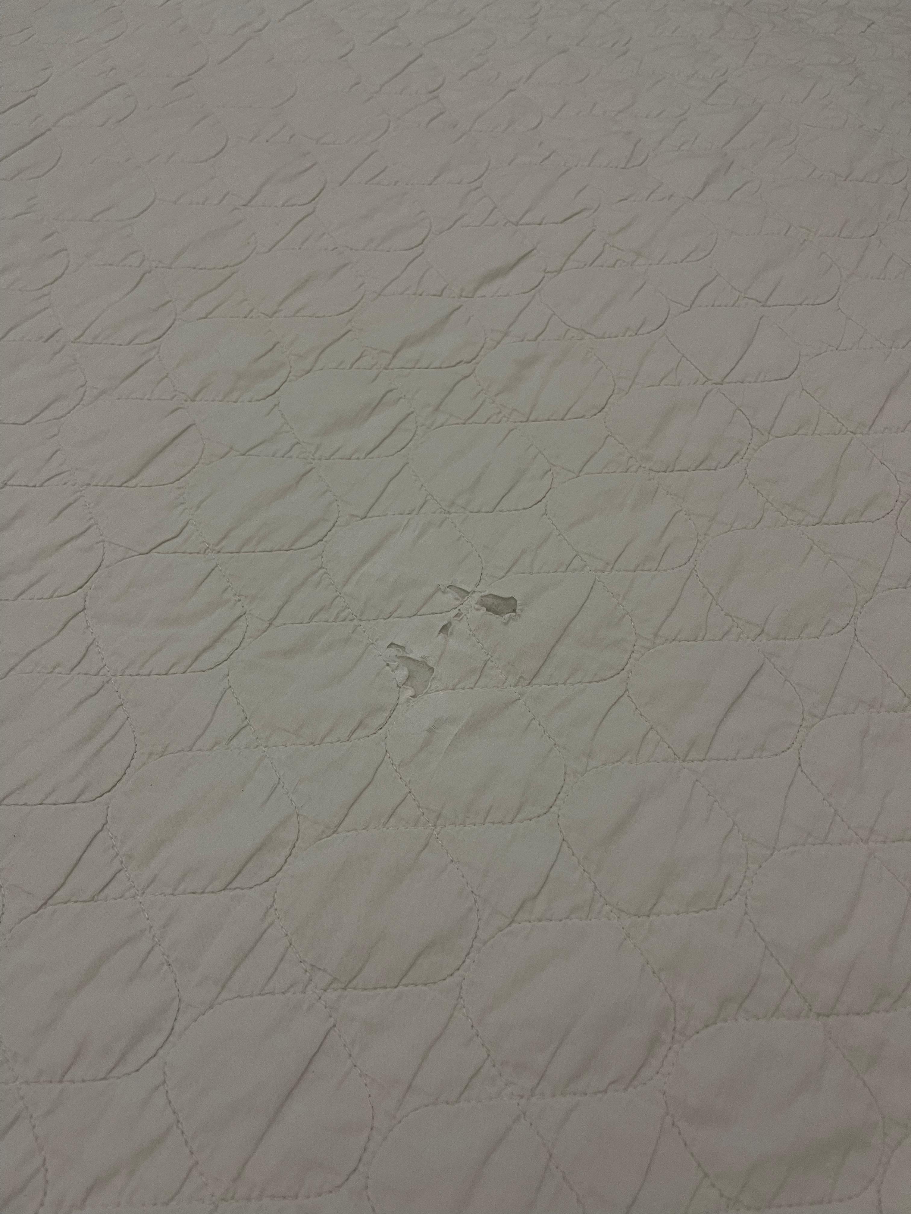 Bed sheets were torn and stained 