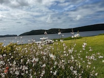 Blick zum See