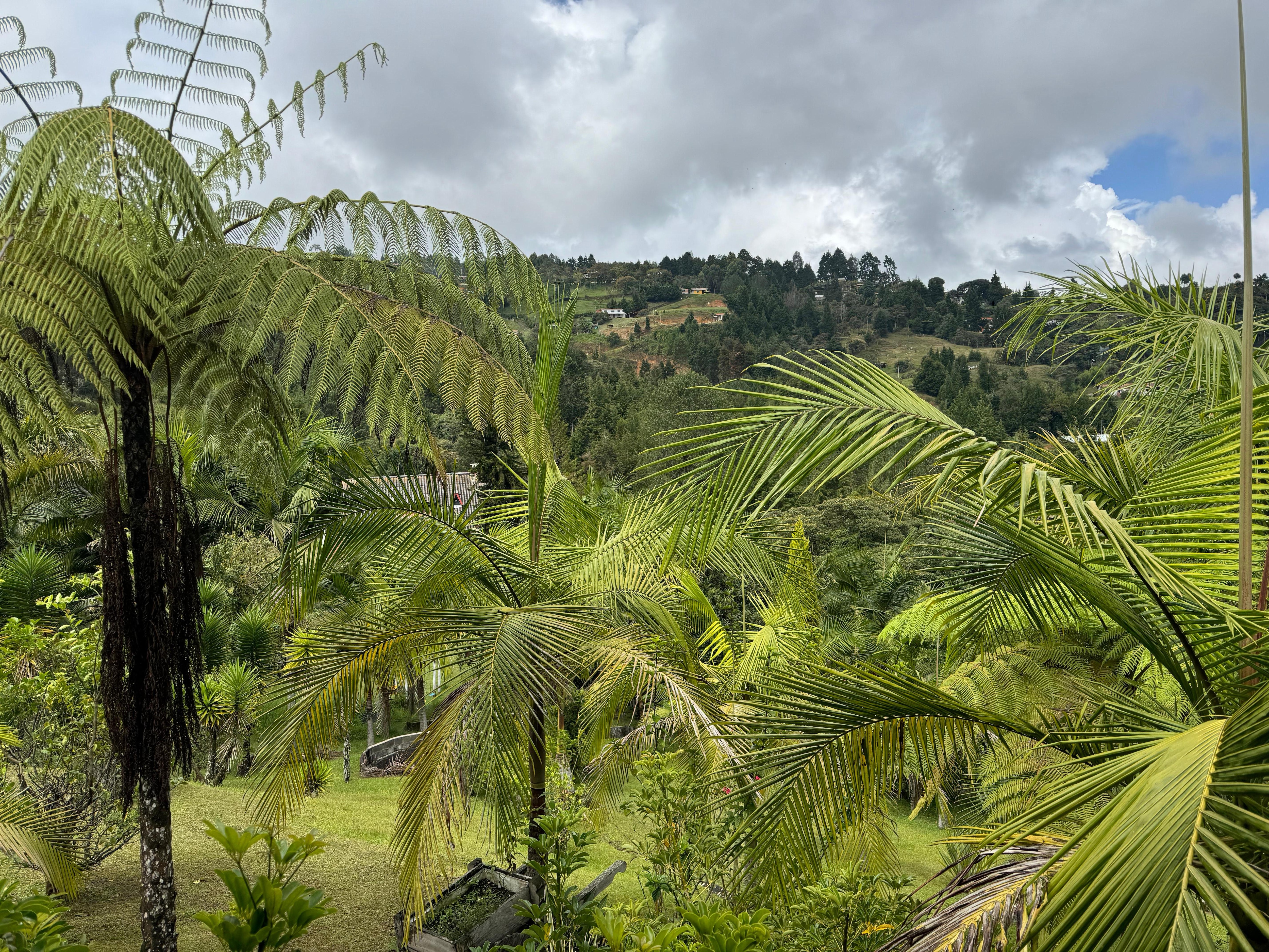 Vista del frente 