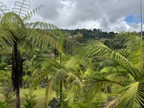 Vista del frente