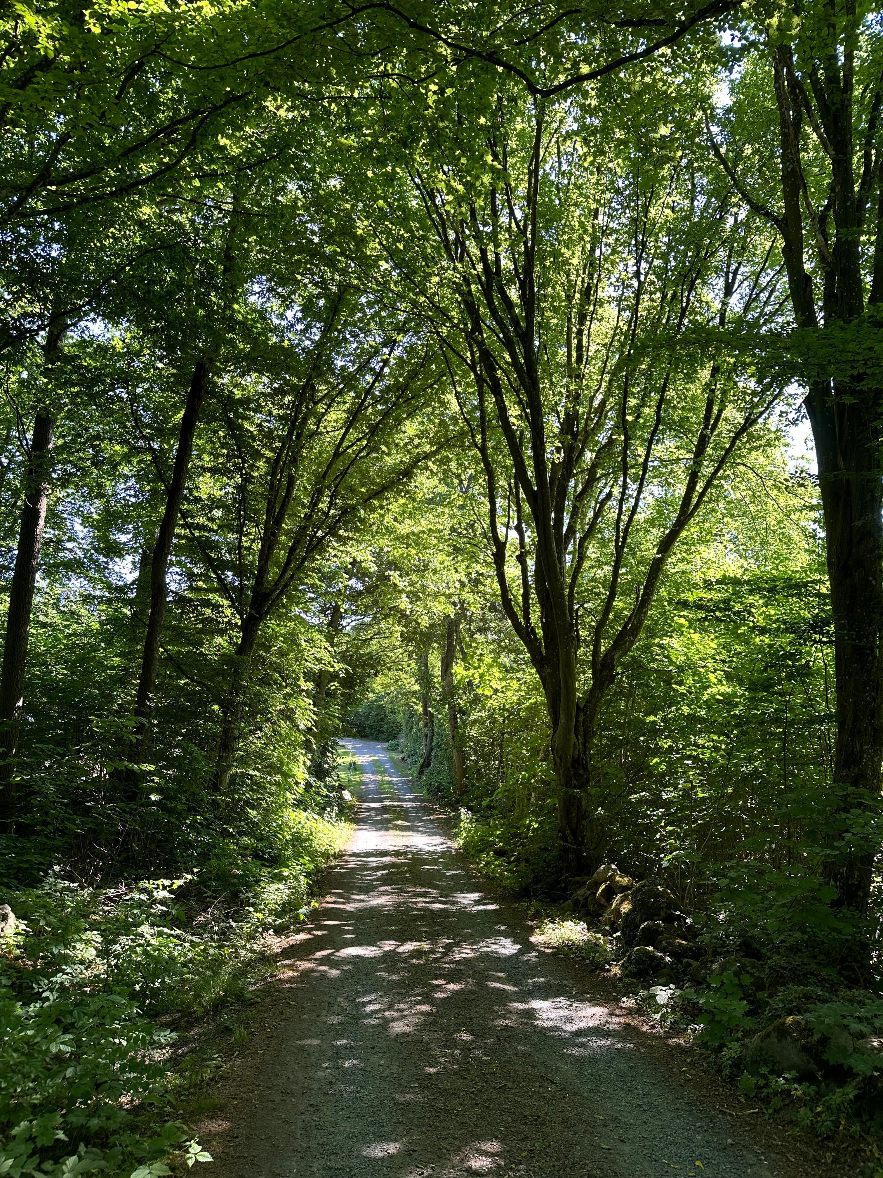 Promenadväg till stranden