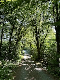 Promenadväg till stranden