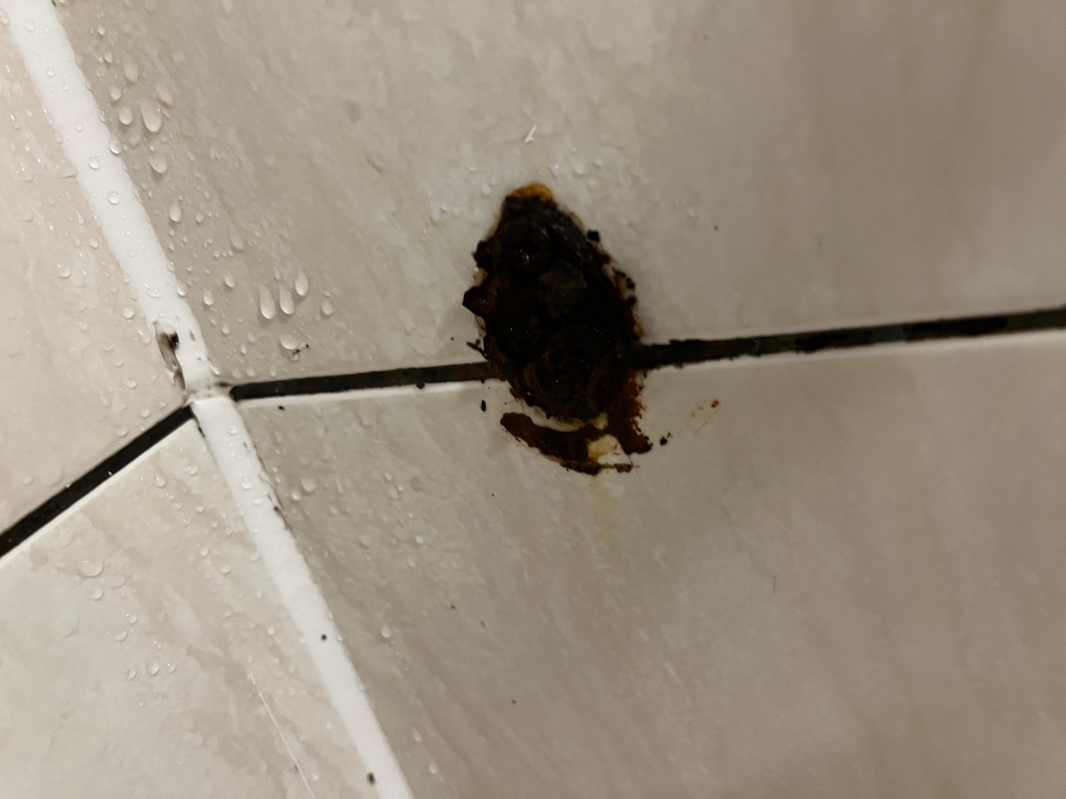 Bæsj på dusjveggen?