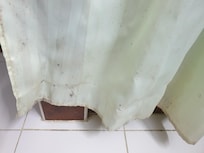 Mould all over bathroom