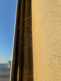 Web