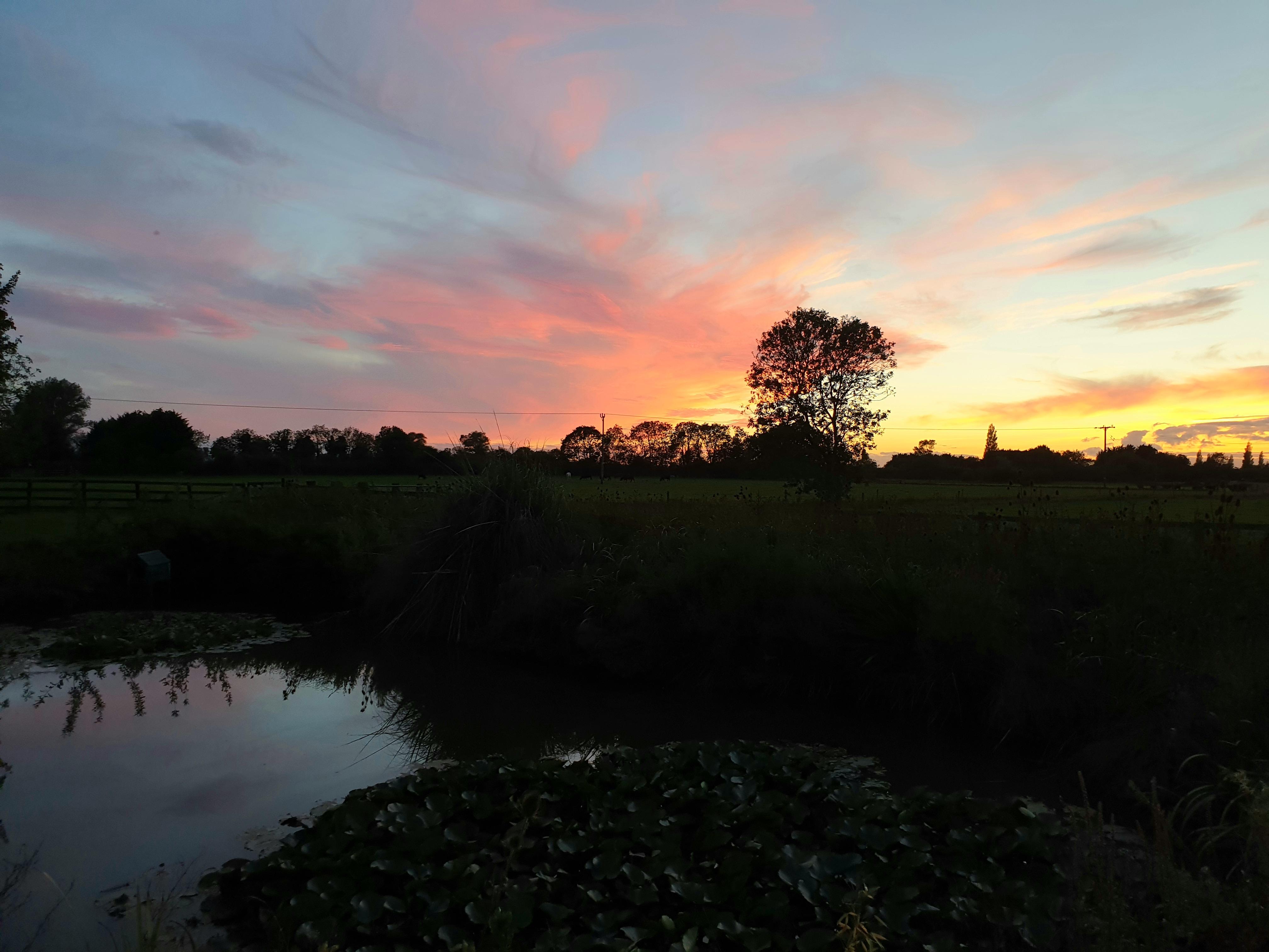 evening sunset from garden 