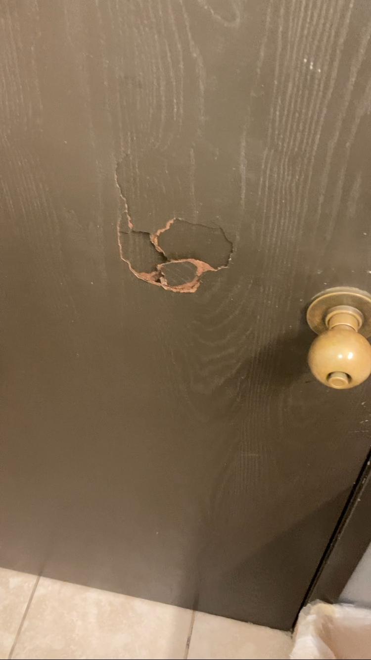 The hole in the bathroom door. I have an actual video.