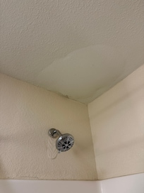 Obvious water leaks not repaired.