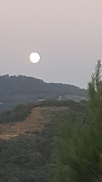 Full moon rising.