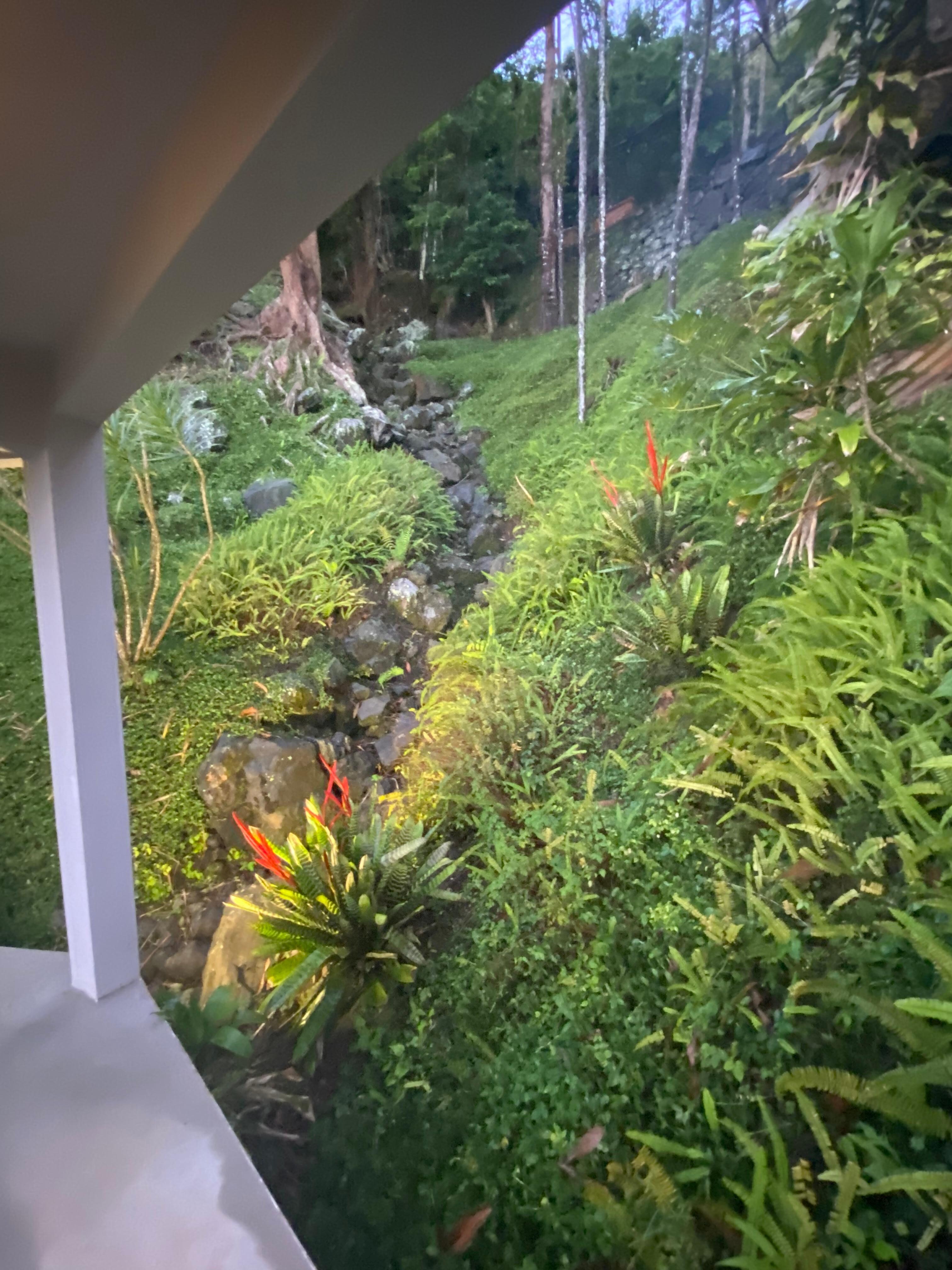 Villa Gringo Farms Puerto Rico), Comerio hotel discounts