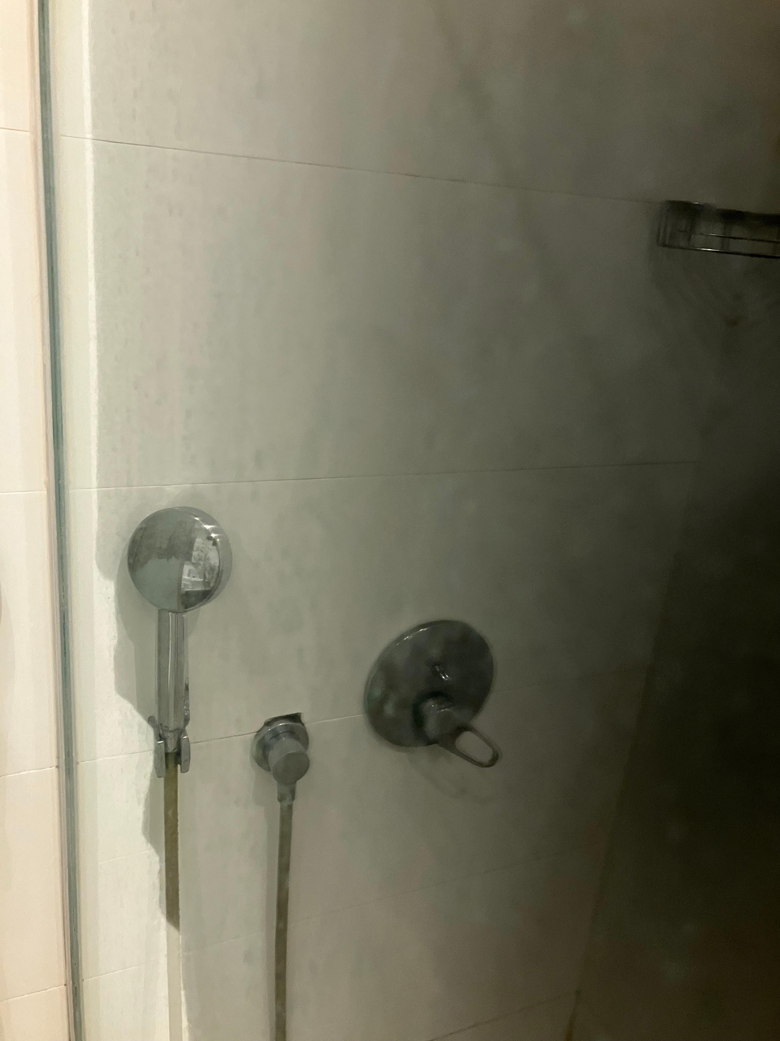 Shower screen 