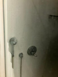 Shower screen