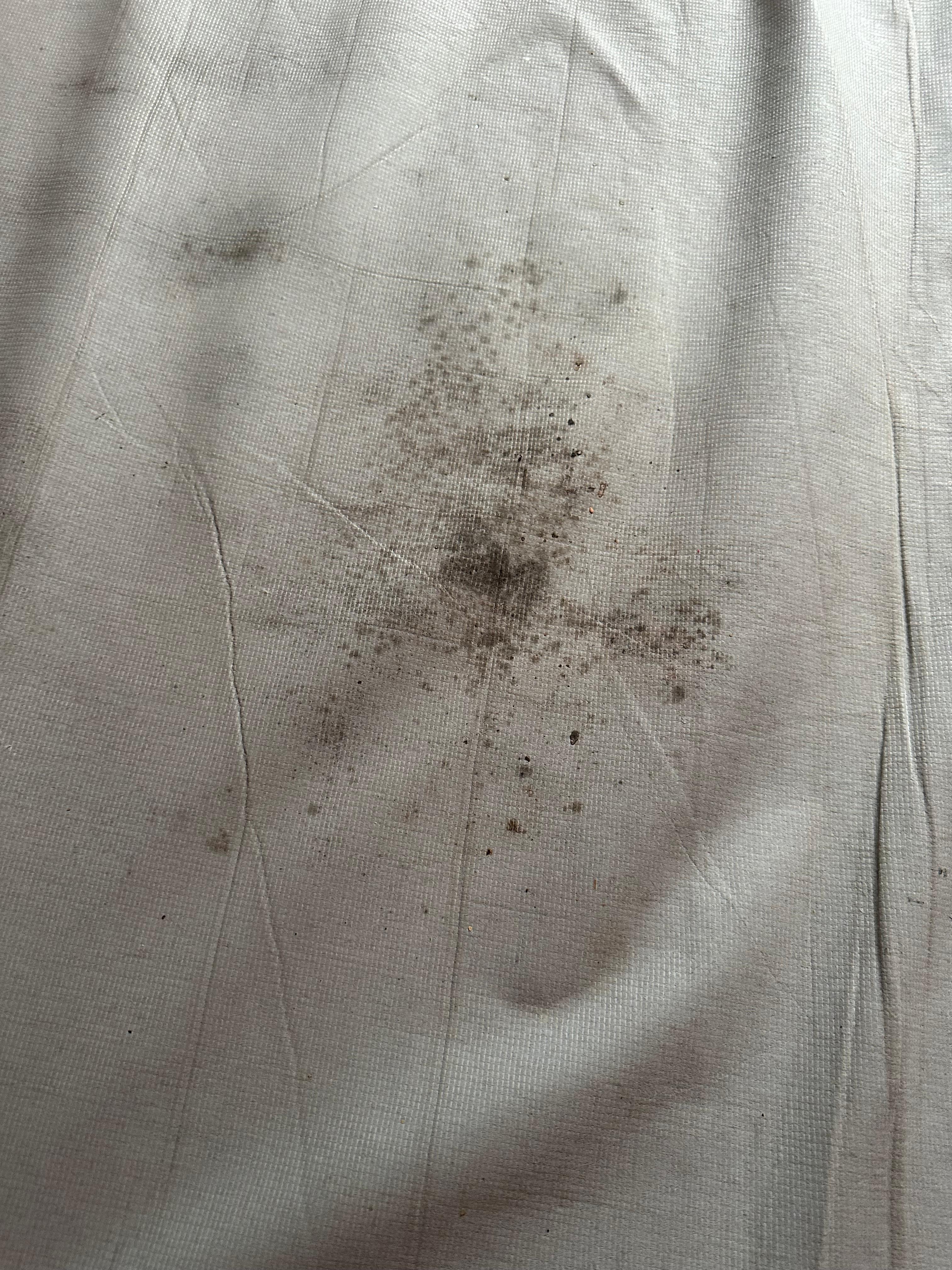 Mold on mattress 