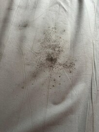 Mold on mattress