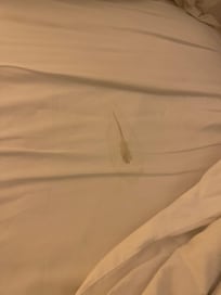 Dirty bed sheet