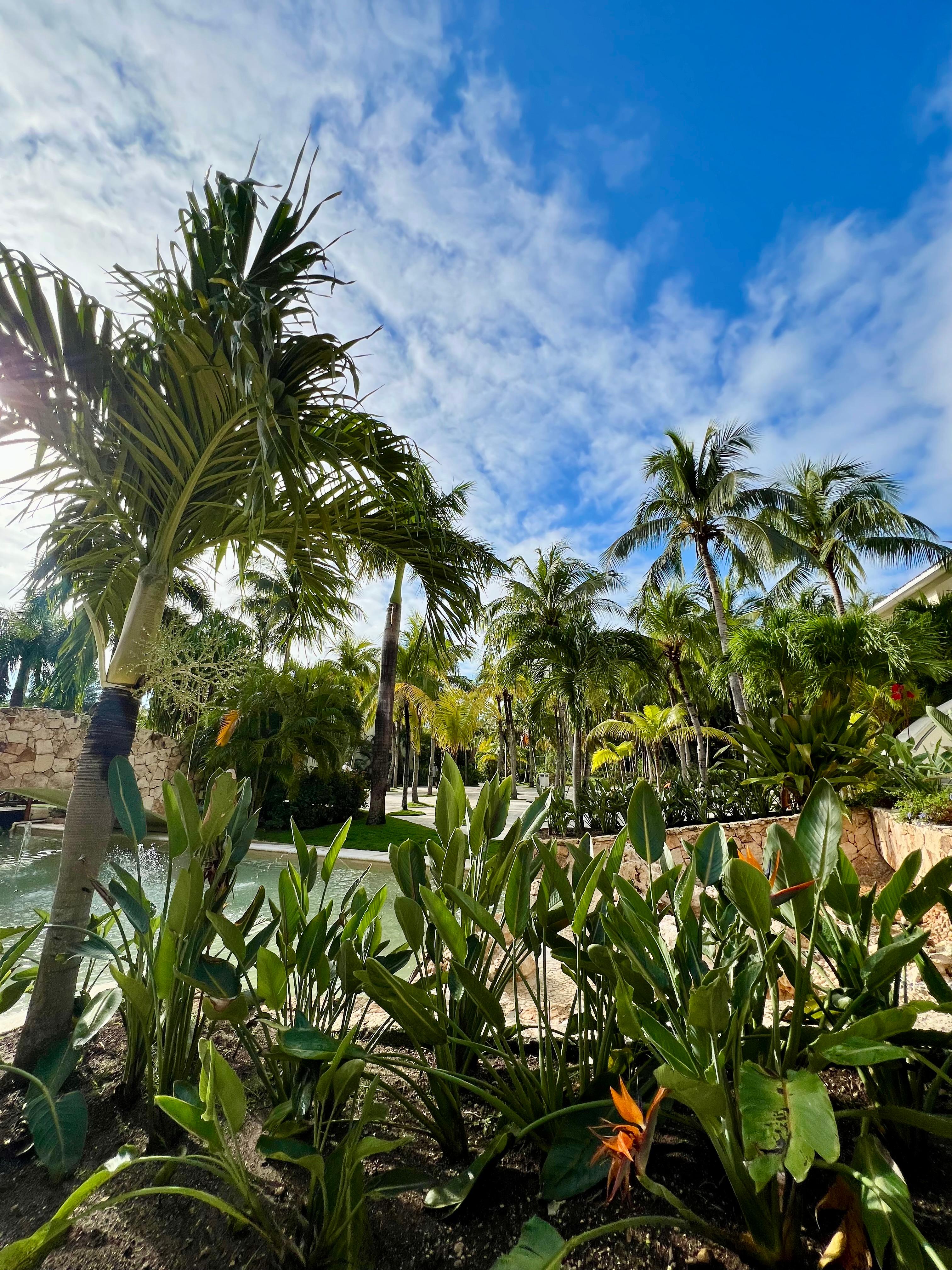 Hotel grounds