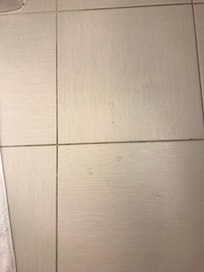 Dirty floor and hair on floor