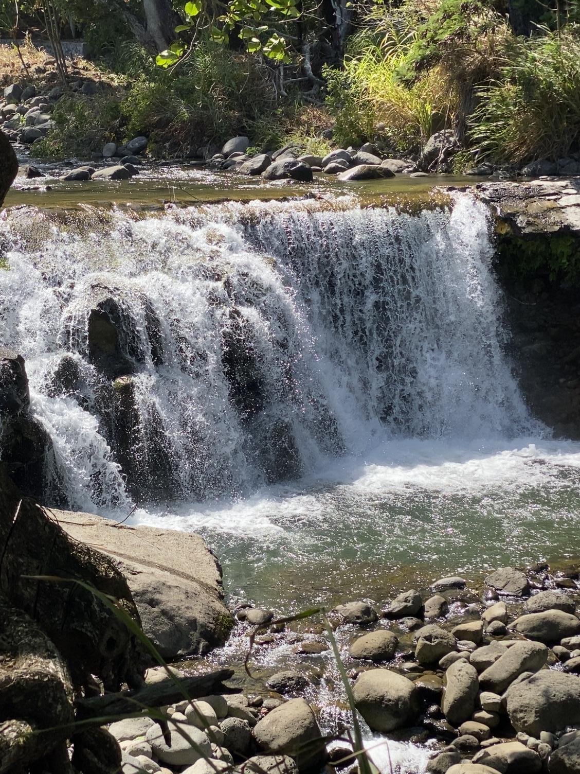 Waterfall on the property. 