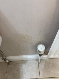 Wall next to toilet