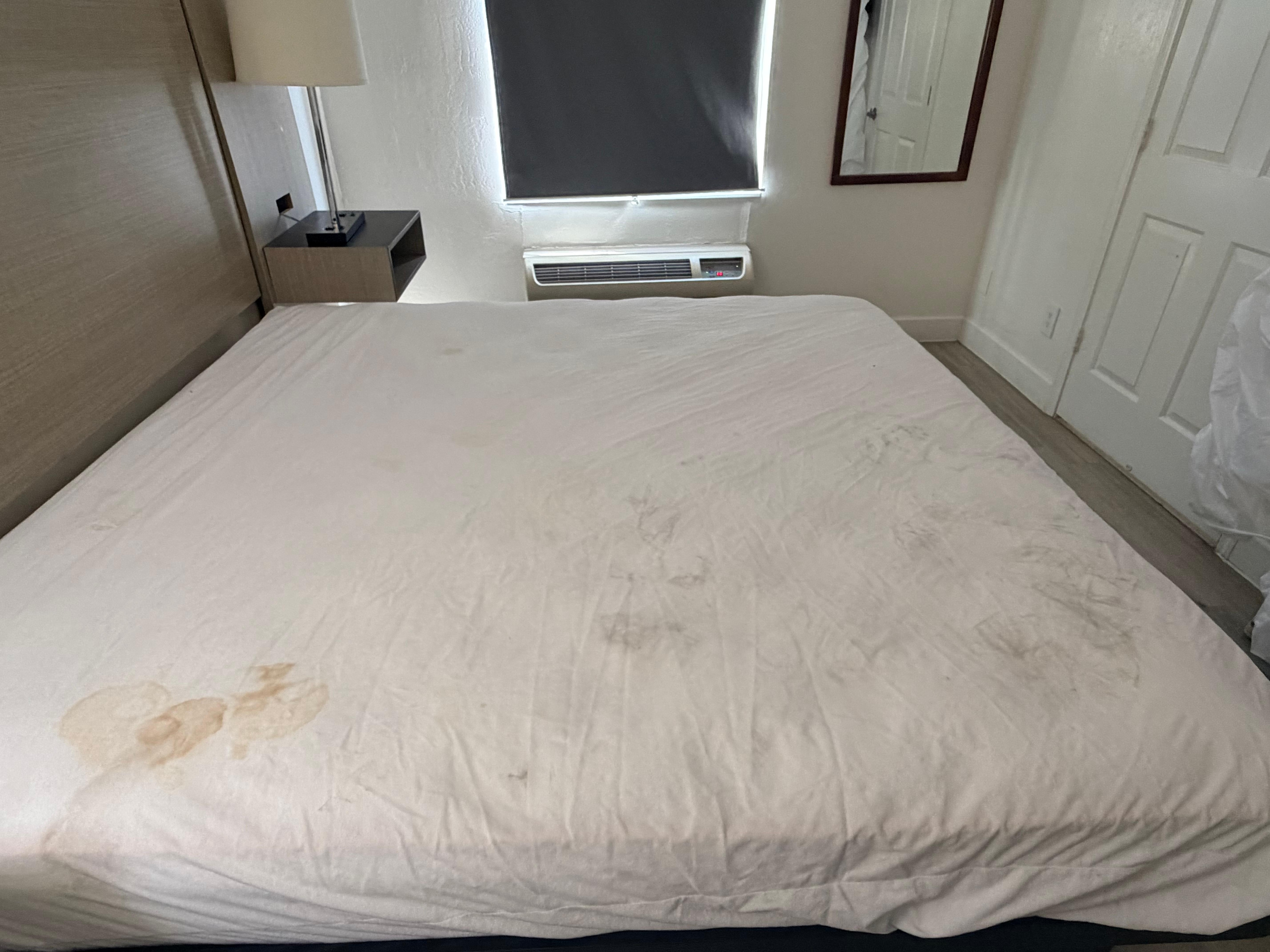 Disgusting mattress liner