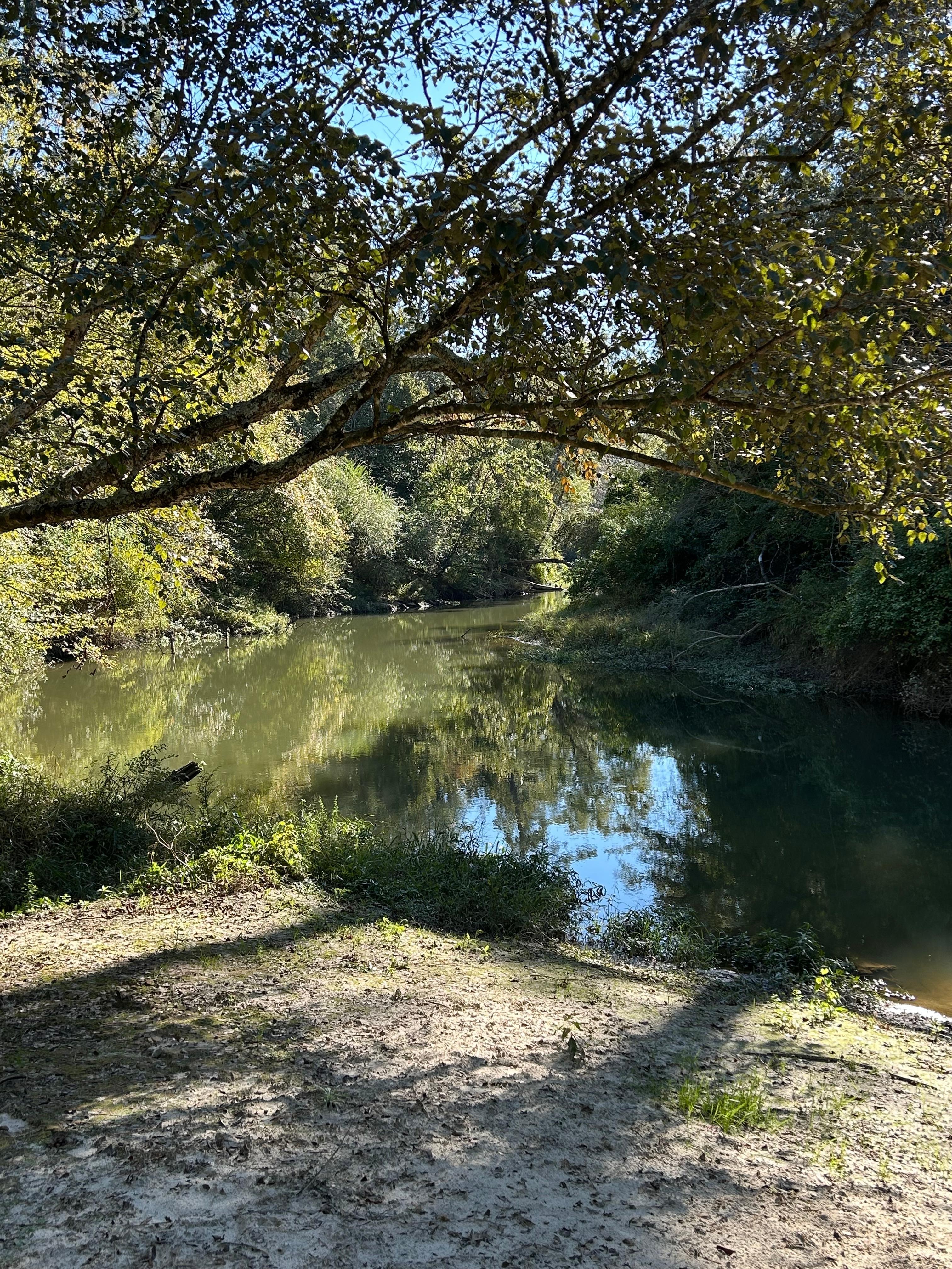 A beautiful view of the creek