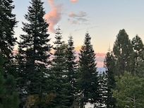 View of the trees from the deck