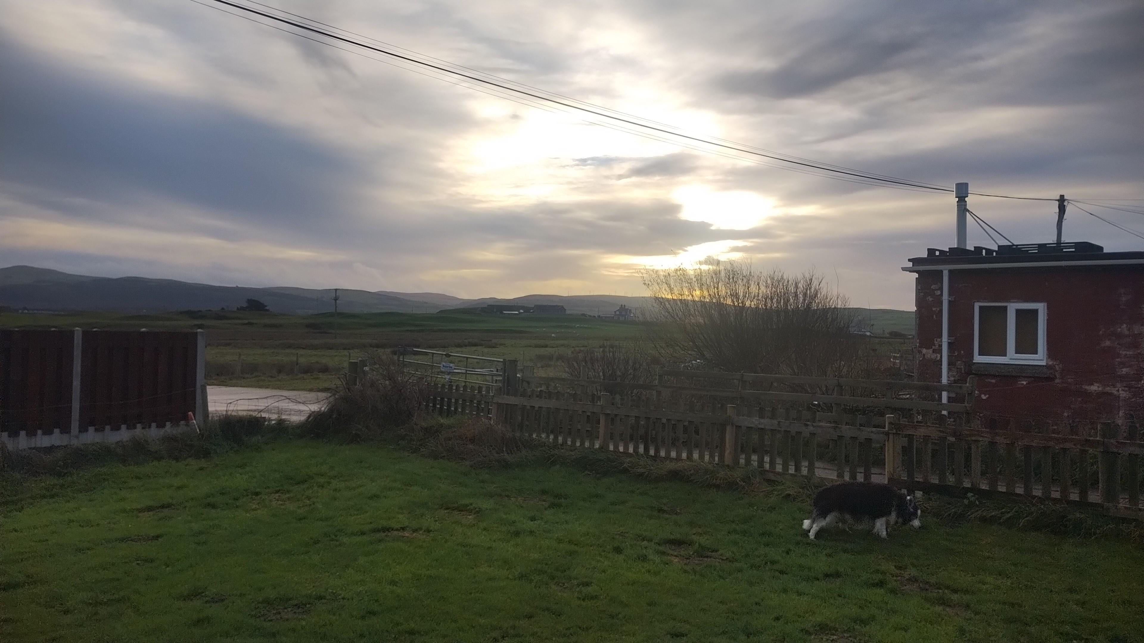 View from lounge window, early winter morning.