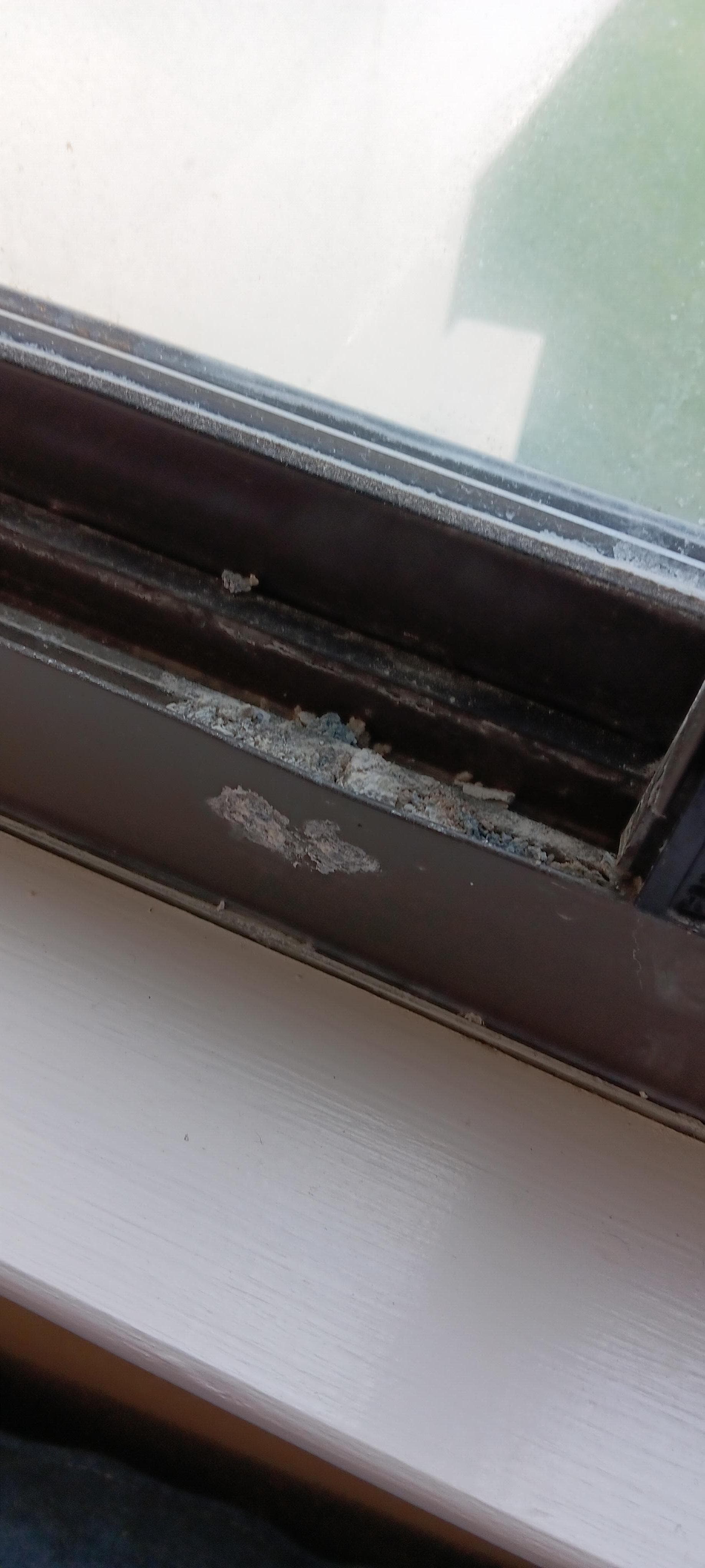 2nd bedroom windows picture