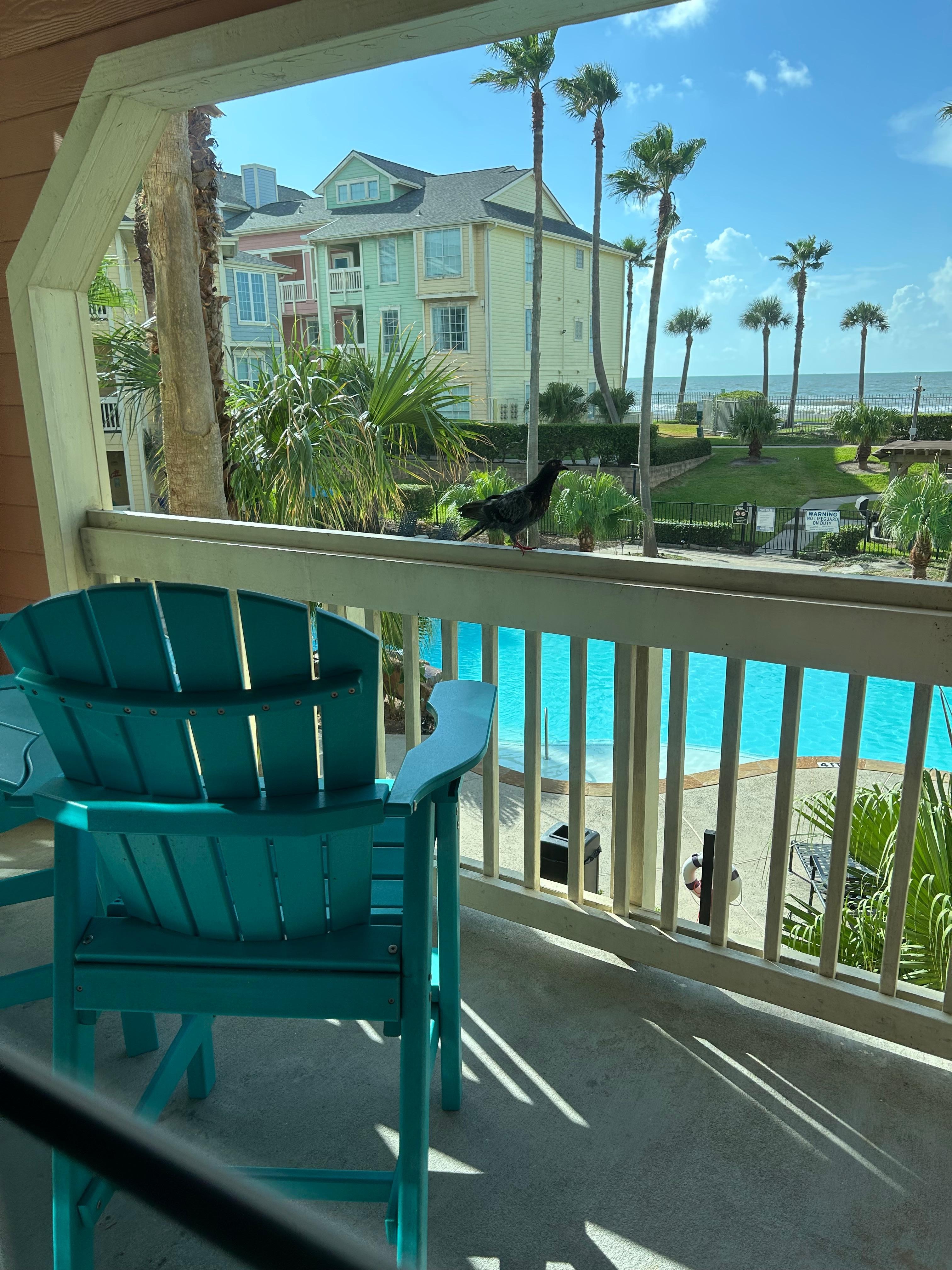 The most beautiful view. The absolute best thing about the whole place. 