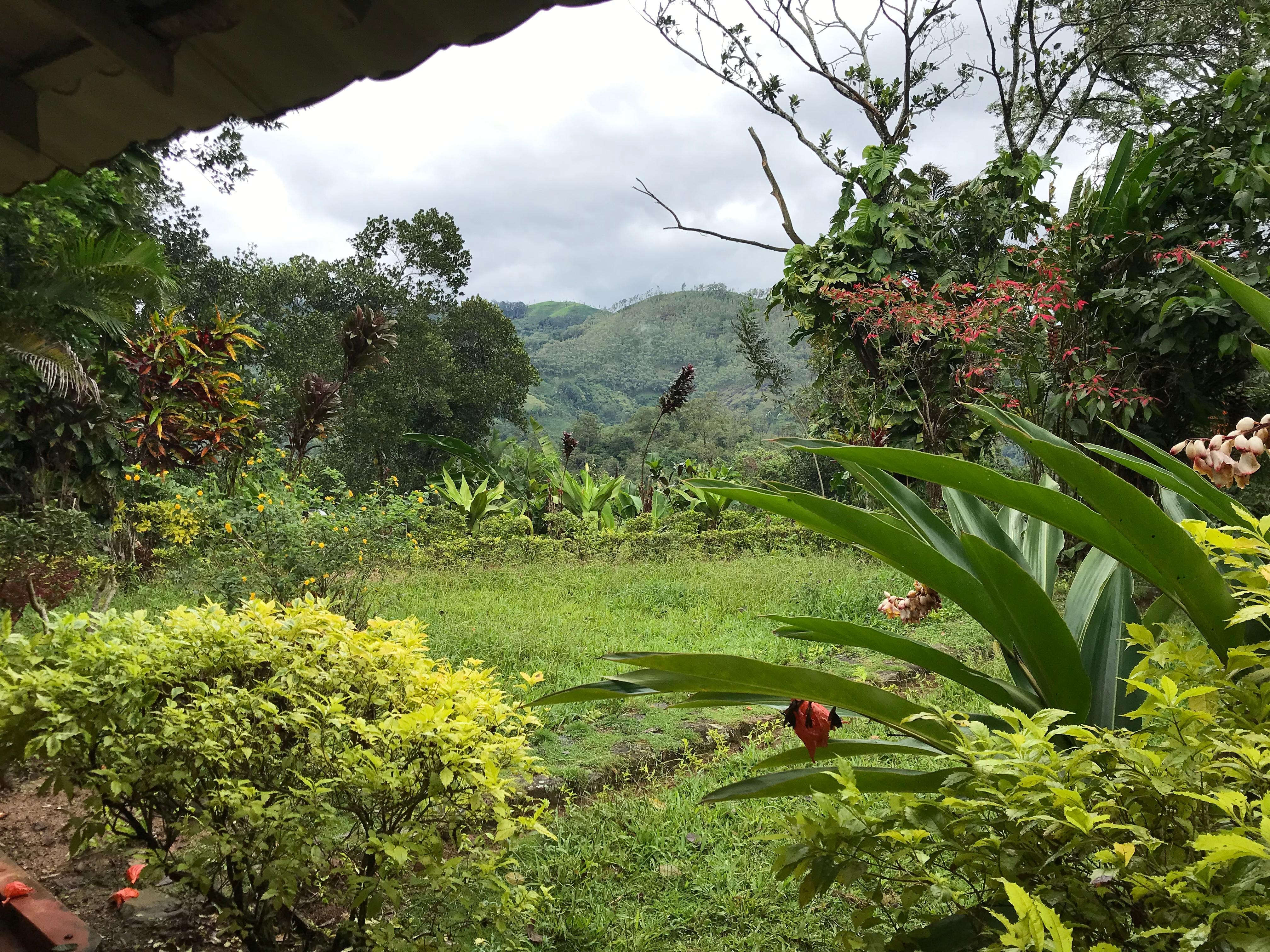 La vista dalla nostra camera