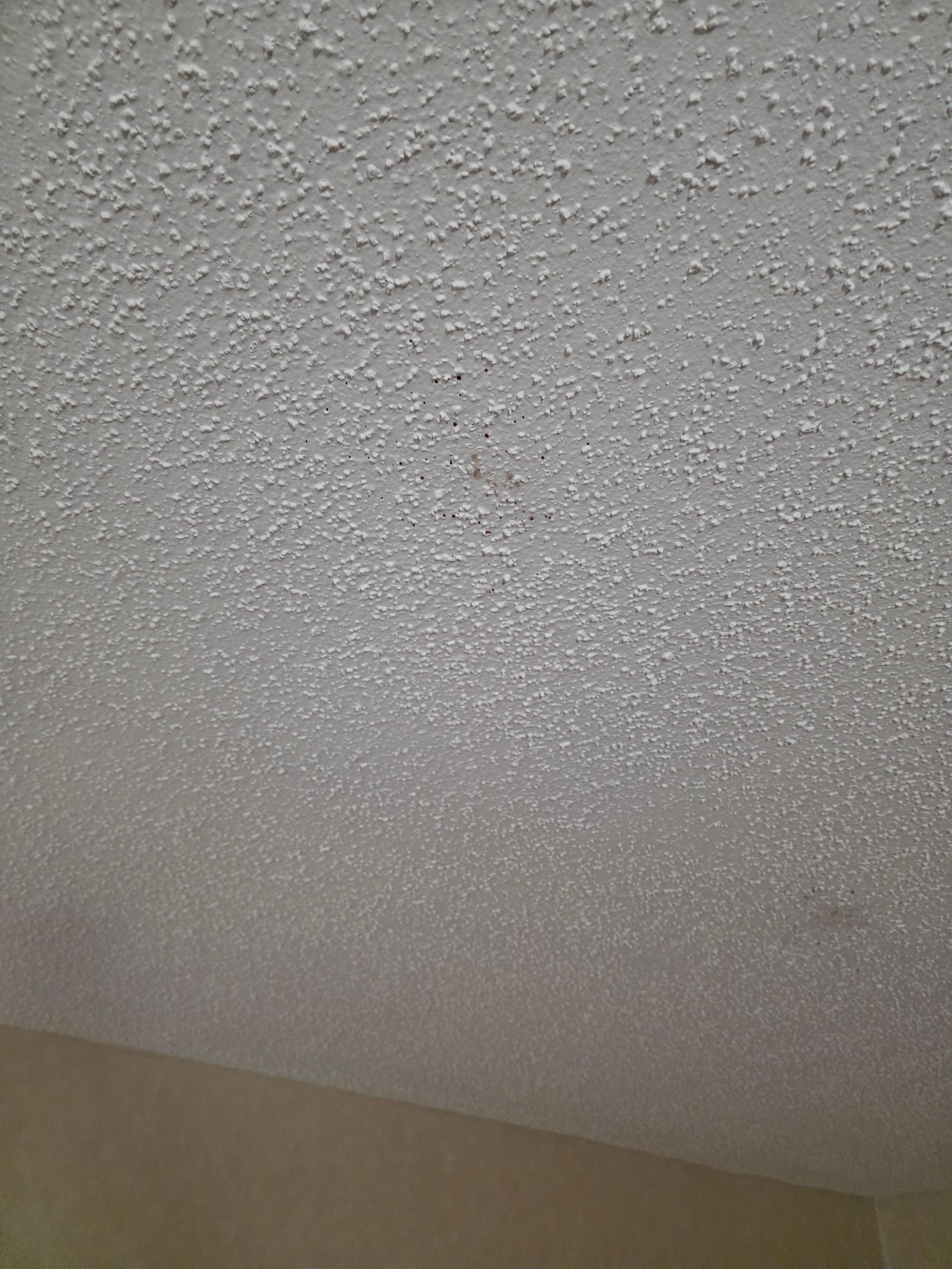 Blood splatter ceiling