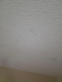 Blood splatter ceiling