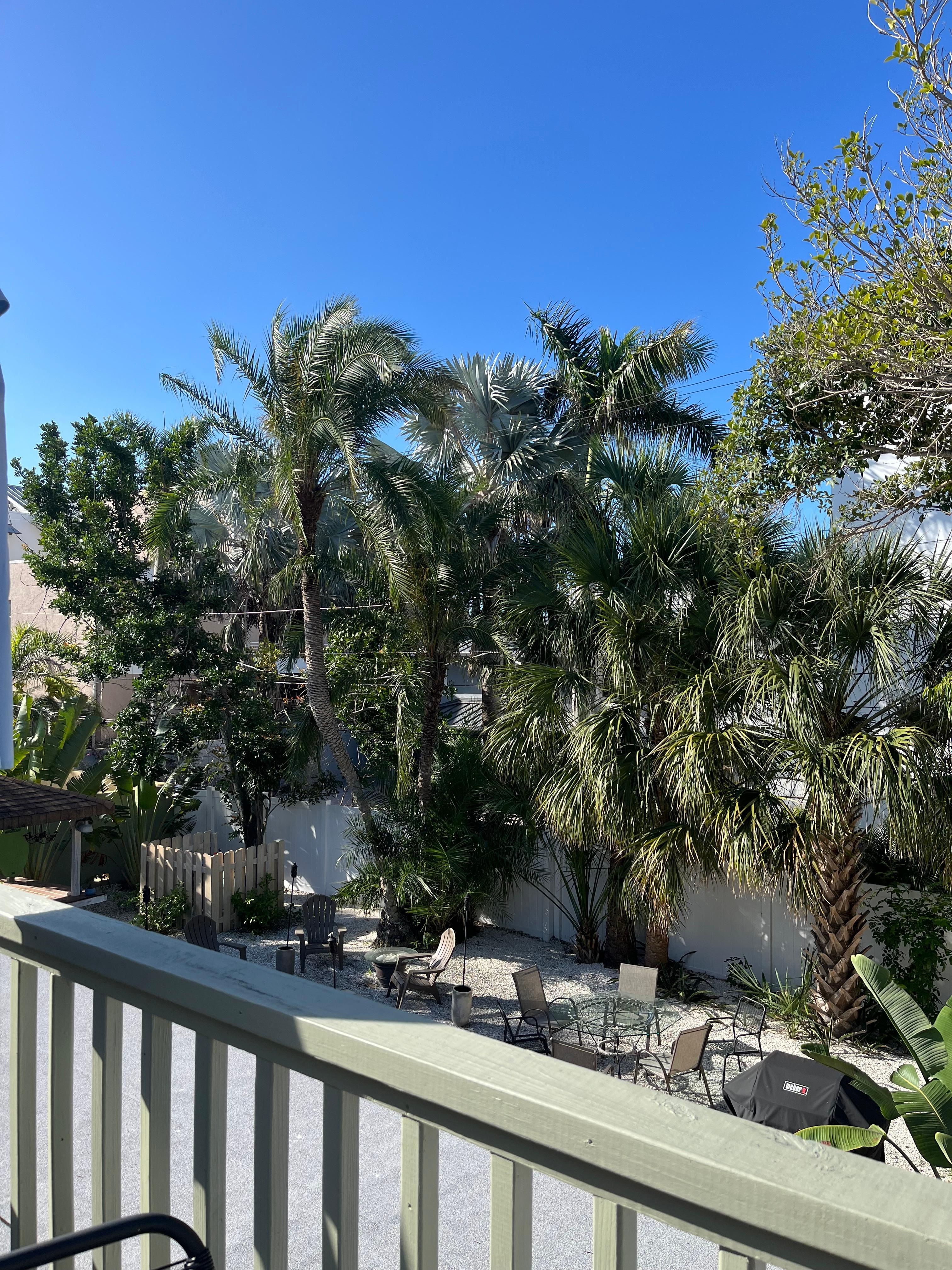 Perfect view from the balcony!