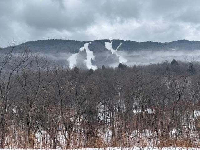 Nice winter view from other outside patio