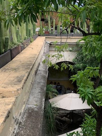 View from the top