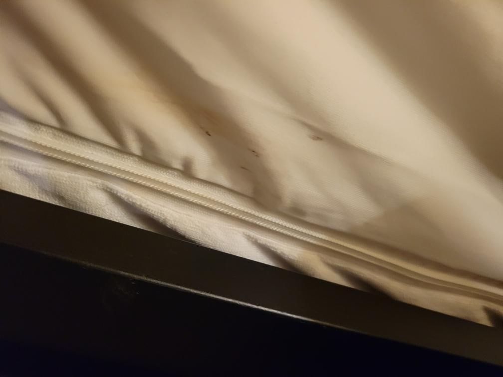 Poop or something on the bed