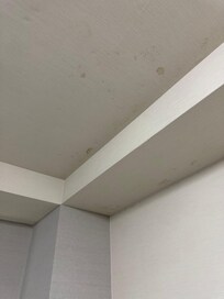 Mold