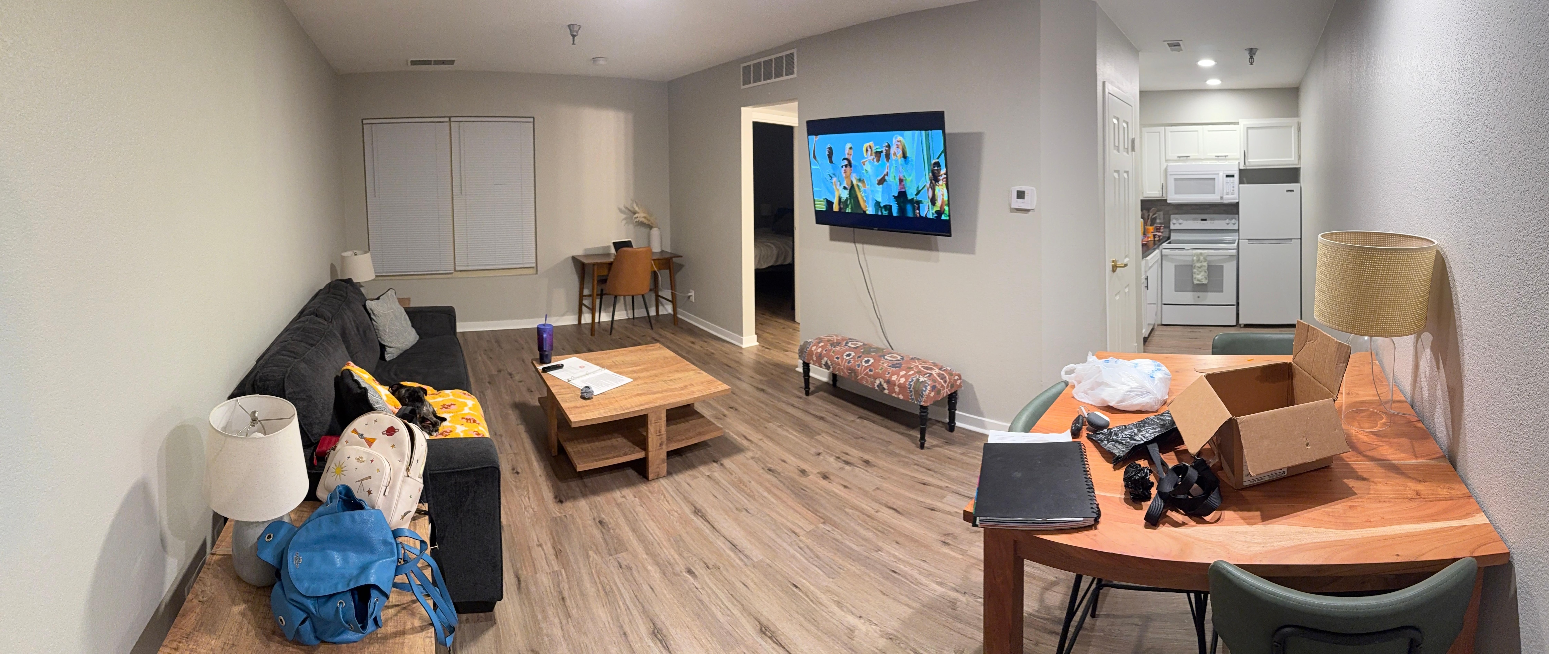 Living, dining, & kitchen areas