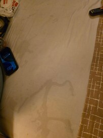 Bed and this is how we got it