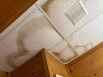 Downstairs ceilings