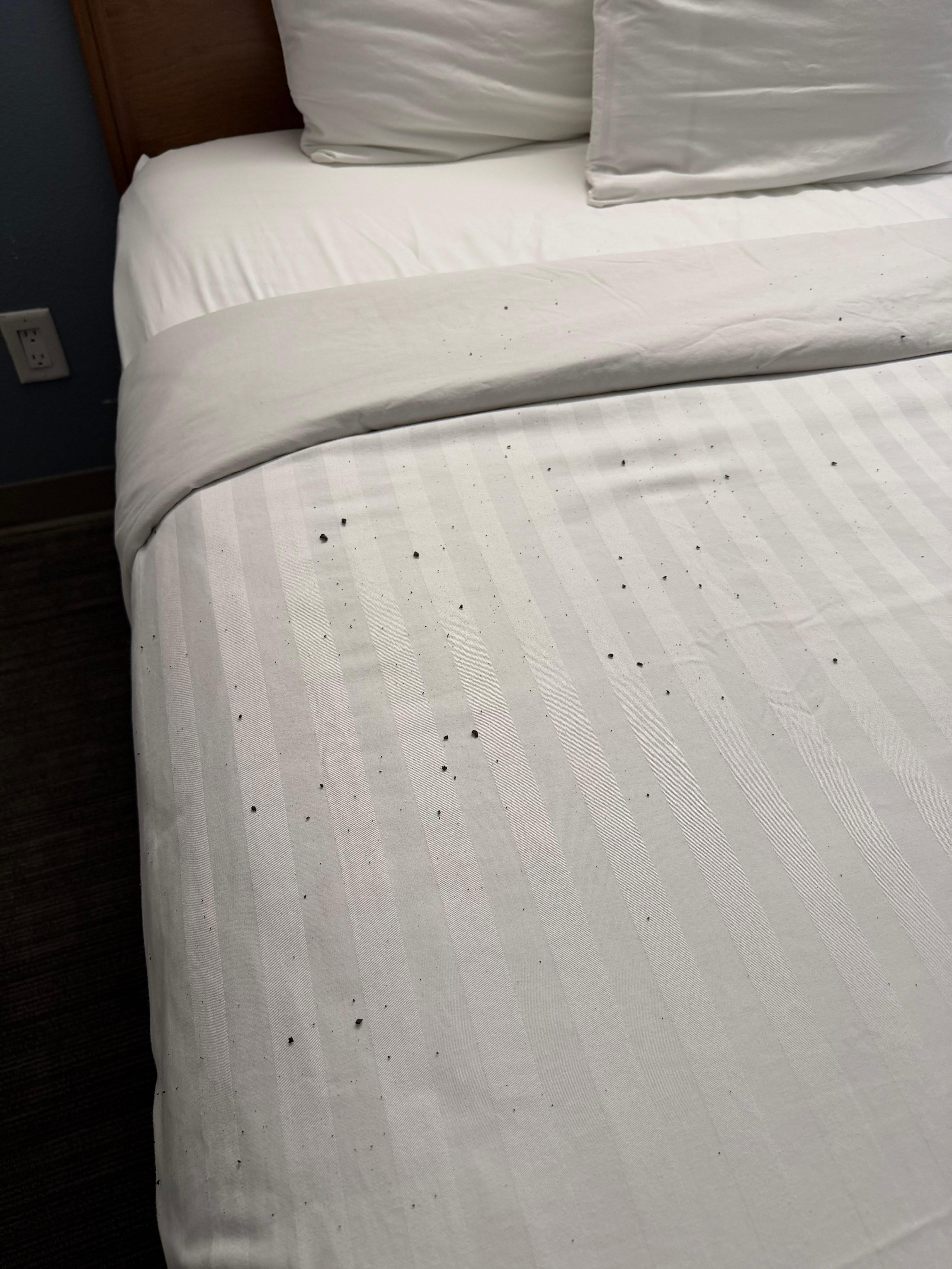 Dirt/dust from AC vent.