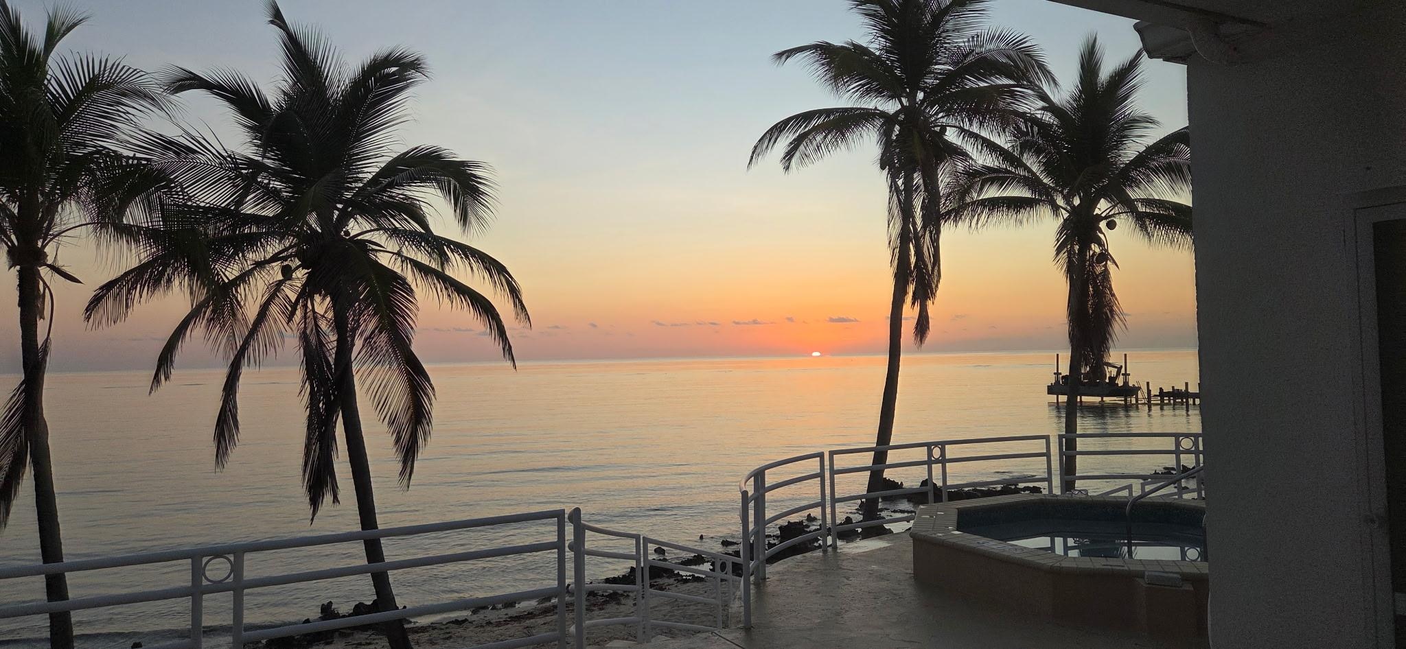 View from the patio.