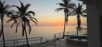 View from the patio.