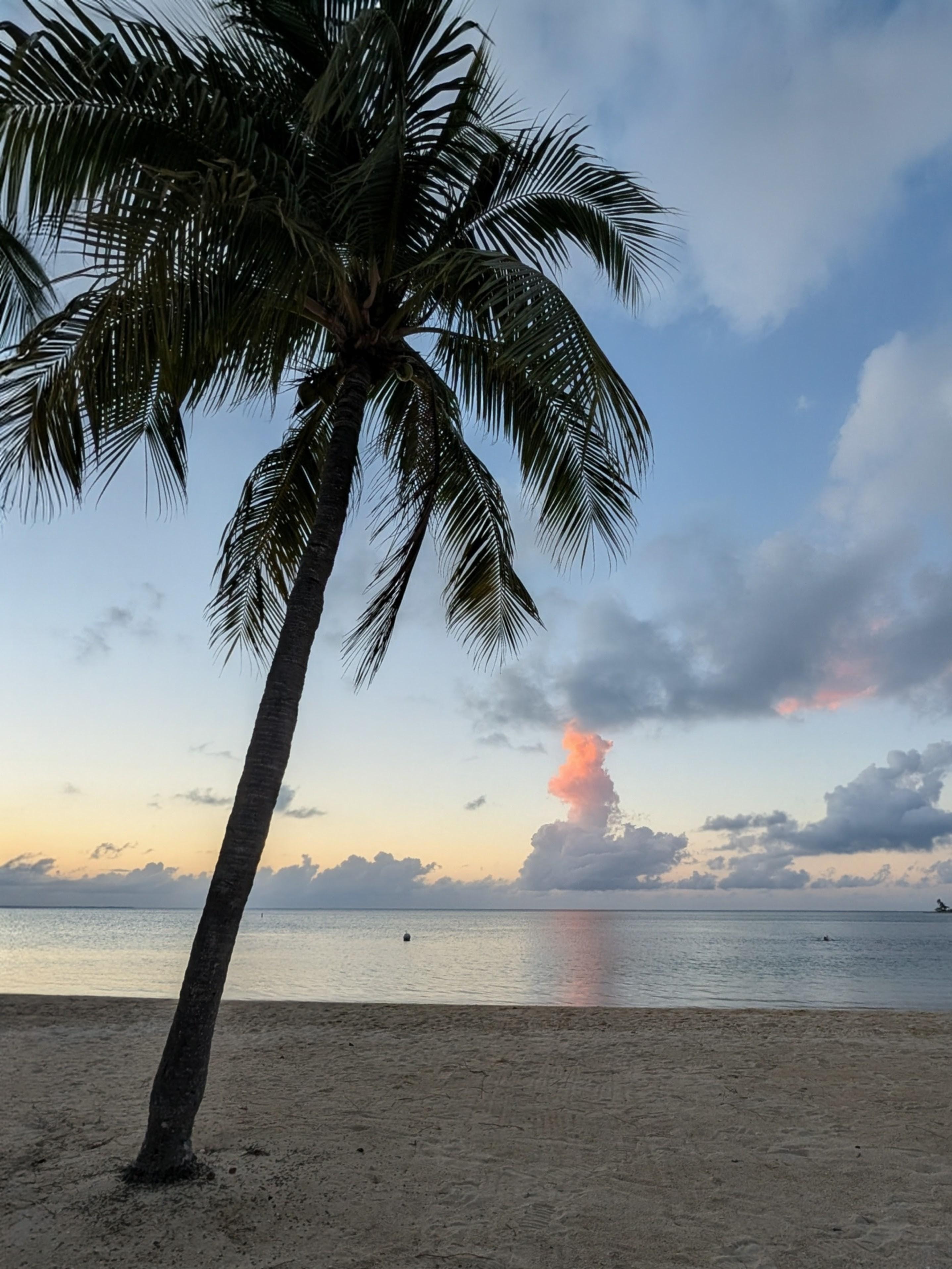 Beach view at sunset