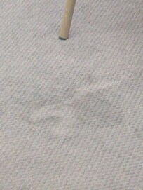 The carpet in our room. Disgusting.