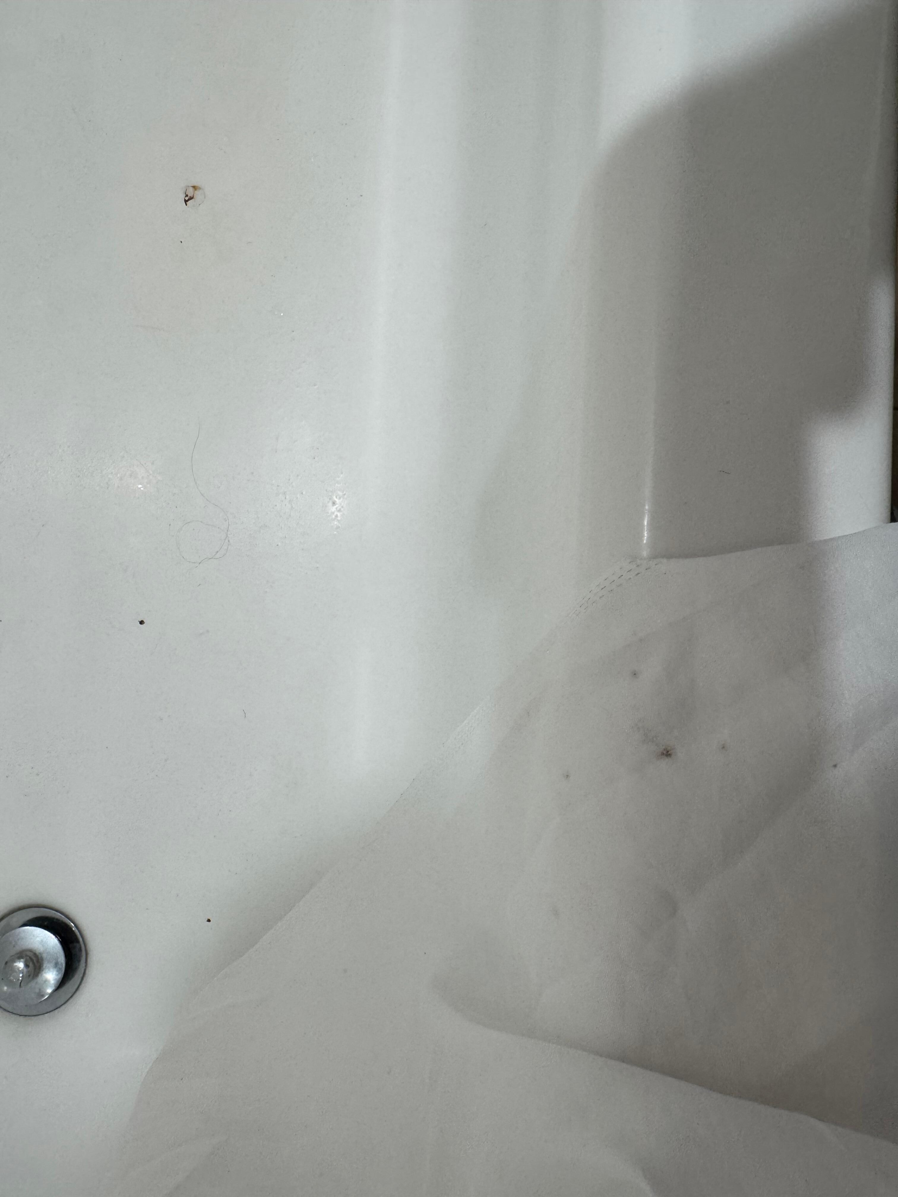 Possible black mold on the shower curtain. 