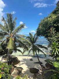 View from the terrace.