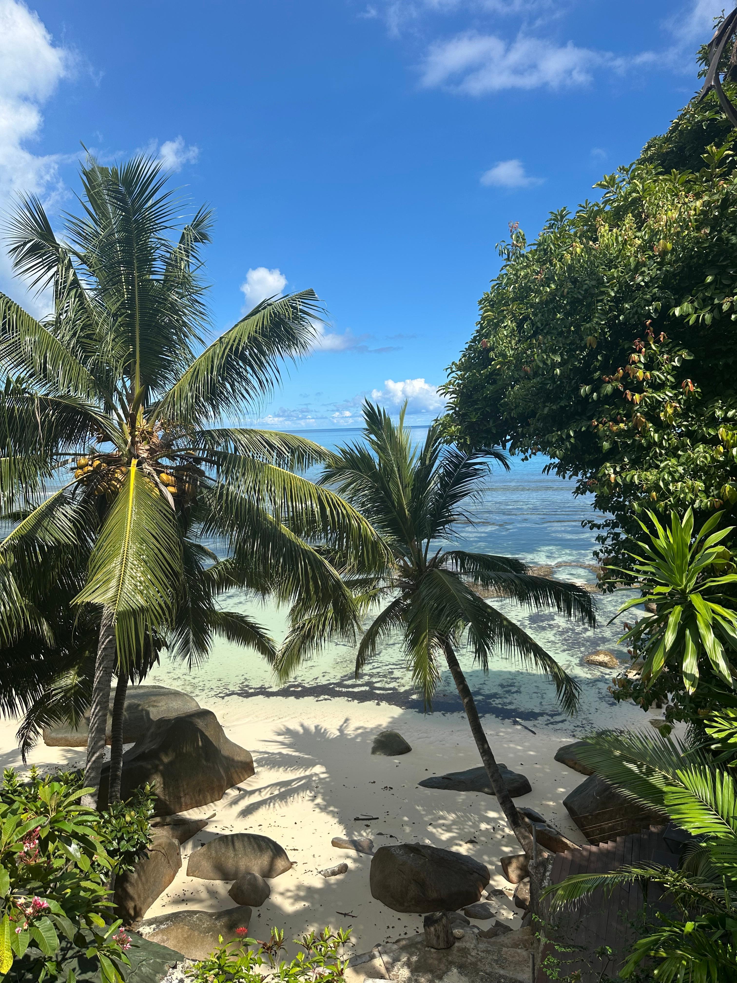 View from the terrace. 