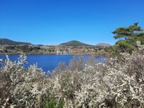Tour du lac d'Aydat en avril